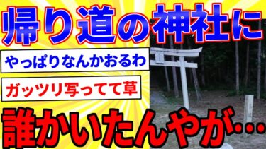 【鉄人28匹ギコ&しぃ】帰り道の神社に誰かいる→夜の神社に潜入した結果…【2ch面白いスレゆっくり解説】