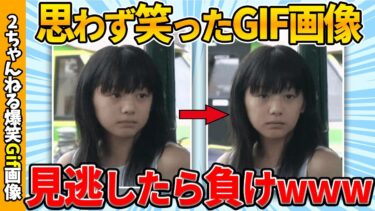 【ゆっくり爆笑図鑑】【2chおもしろgif】何度でも笑える傑作gif画像ww by 2ch【コメ付き】【ゆっくり解説】【2chスレ】【5ch】#201