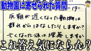 【2chバラエティ】【”神”動物園】質問にノリノリで丁寧に答えてくれる動物園が最高すぎるwww笑ったら寝ろwww【ゆっくり】