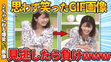 【ゆっくり爆笑図鑑】【2chおもしろgif】おもしろすぎる傑作gif画像集ww by 2ch【コメ付き】【ゆっくり解説】【2chスレ】【5ch】#205