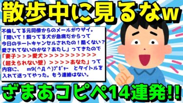 【ゆっくり君の2ch】【2ch面白いスレ】ざまあコピペで笑い飛ばせ！スーッとするコピペ14連発！【ゆっくり解説】