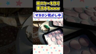 【2ch面白キッチン】【2ch面白いスレ】高3オレ、妹のケーキ作りを実況するwww