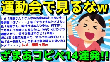 【ゆっくり君の2ch】【2ch面白いスレ】ざまあコピペでスカッとしようぜ！メンタル回復するコピペ14連発！【ゆっくり解説】