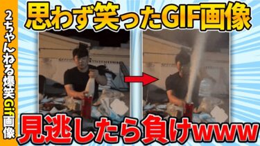 【ゆっくり爆笑図鑑】【おもしろgif総集編】何度見ても面白い傑作gif画像集ww by 2ch【コメ付き】【ゆっくり解説】【2chスレ】【5ch】