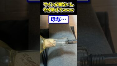 【2ch面白キッチン】【2ch面白いスレ】ワインが開かないんやが助けてwww