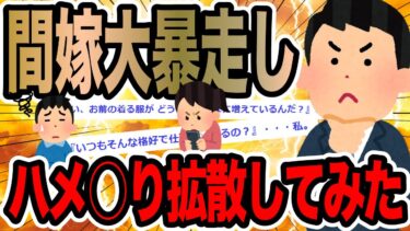 【2chで笑いを叫ぶ】間嫁大暴走しハメ○り拡散してみた【2ch修羅場スレ】