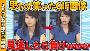 【ゆっくり爆笑図鑑】【2chおもしろgif】ワイが思わず吹いた爆笑gif画像ww by 2ch【コメ付き】【ゆっくり解説】【2chスレ】【5ch】#196