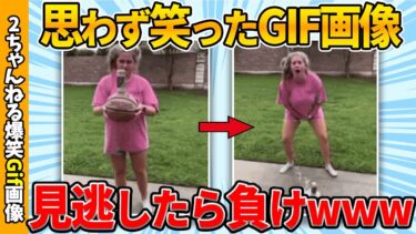 【ゆっくり爆笑図鑑】【おもしろgif総集編】思わず笑った傑作gif画像集ww by 2ch【コメ付き】【ゆっくり解説】【2chスレ】【5ch】