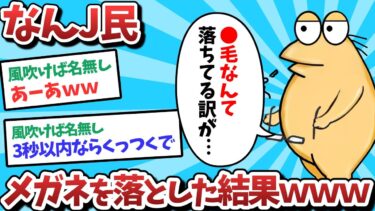 【俺たち天才なんJ民】【悲報】なんJ民、メガネを落とした結果ｗｗｗ【2ch面白いスレ】【ゆっくり解説】