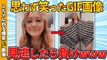 【ゆっくり爆笑図鑑】【2chgif総集編】何度でも見れる爆笑gif画像集ww 【コメ付き】【ゆっくり解説】【2chスレ】【5ch】