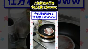 【2ch面白キッチン】【2ch面白いスレ】3年前のマグロが冷凍庫に！料理してくぞwww