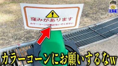 【2chバラエティ】【総集編】絶対にツッコミたくなる画像まとめてみたwww笑ったら寝ろwww【ゆっくり】