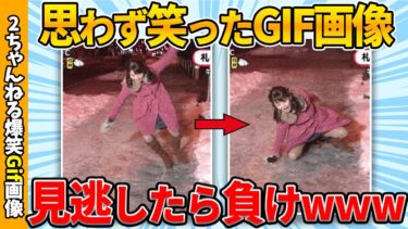 【ゆっくり爆笑図鑑】【2chおもしろgif】厳選面白gif画像で笑ったら寝ろww by 2ch【コメ付き】【ゆっくり解説】【2chスレ】【5ch】#200