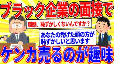 【鉄人28匹ギコ&しぃ】社畜だけどブラック企業の面接でストレス発散するのが趣味【2ch面白いスレゆっくり解説】