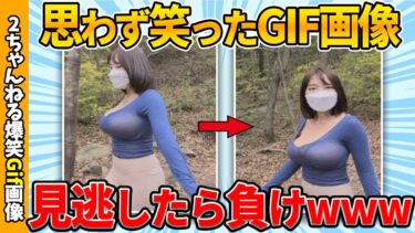 【ゆっくり爆笑図鑑】【2chおもしろgif】何度でも笑えるおもしろgif画像ww by 2ch【コメ付き】【ゆっくり解説】【2chスレ】【5ch】#207