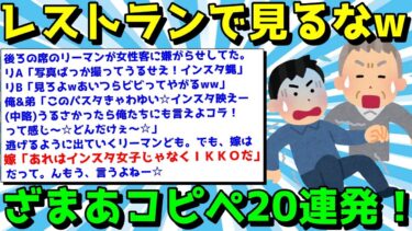 【ゆっくり君の2ch】【2ch面白いスレ】ざまあコピペで楽しく笑え！スカッとするコピペ20連発！【ゆっくり解説】