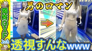 【5ちゃんねこ】【おもしろ】漏れがネットで拾った変なgifをうｐしるお♪ 2ch