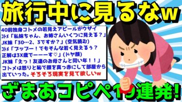 【ゆっくり君の2ch】【2ch面白いスレ】ざまあコピペでスカッとしようぜ！笑えるコピペ19連発！【ゆっくり解説】