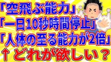 【鉄人28匹ギコ&しぃ】「空飛ぶ能力」「一日10秒だけ時間停止」「人体の至る能力が2倍」どれ欲しい？【2ch面白いスレゆっくり解説】