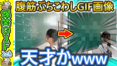 【5ちゃんねこ】【電車で見るな‼】カメラが捉えたおもしろGIF集 2ch