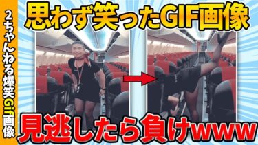 【ゆっくり爆笑図鑑】【おもしろgif】天才的なおもしろgif画像で吹いたら寝ろww by 2ch【コメ付き】【ゆっくり解説】【2chスレ】【5ch】#213