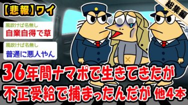 【2chおバカ問題児】【悲報】36年間ナマポで生きてきたが不正受給で捕まったんだが。他4本を加えた総集編【2ch面白いスレ】