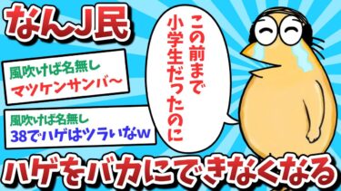 【俺たち天才なんJ民】【悲報】なんJ民、ハゲをバカにできなくなってしまうｗｗｗ【2ch面白いスレ】【ゆっくり解説】