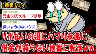 【2ch人情屋台】【悲報】リボ払いの沼にハマり永遠に借金が減らない地獄に転落ww【2ch面白いスレ】