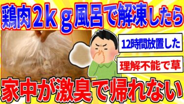 【鉄人28匹ギコ&しぃ】鶏肉2kgを風呂で解凍したら家中が激臭になったｗｗｗ【2ch面白いスレゆっくり解説】