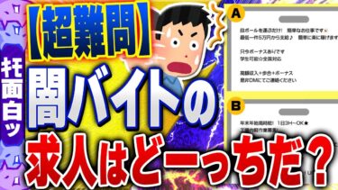 【ハチとオシン 】【ｷﾓ面白い2chスレ】【超難問】闇バイト求人チェックテストwww【ゆっくり解説】