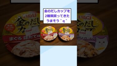 【2chが好きなんだお】【2ch面白いスレ】ネコ用シーチキン買ってきたから食うｗ