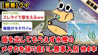 【2chおバカ問題児】【悲報】飯を出してもらえないので水槽のメダカを踊り食いし無事入院。他4本を加えた総集編【2ch面白いスレ】