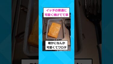 【2chホウソウキョク】【2ch面白いスレ】ワイより上手く卵焼き作れる？？