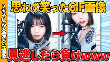 【ゆっくり爆笑図鑑】【おもしろgif】傑作gif画像で笑ったら負けww by 2ch【コメ付き】【ゆっくり解説】【2chスレ】【5ch】#219