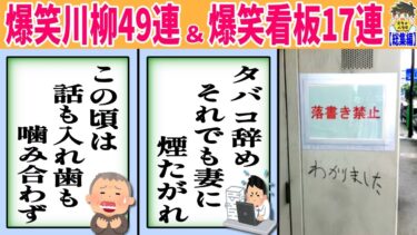 【2chバラエティ】【総集編】爆笑ネタ６６連くらって笑わない人０人説www笑ったら寝ろwww【ゆっくり】