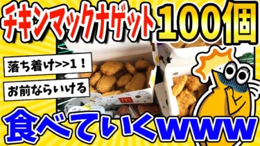 【2ch面白キッチン】【2ch面白いスレ】チキンマックナゲット100個買ってきた！食事実況するぞwww