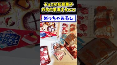 【2ch面白キッチン】【2ch面白いスレ】激ムズ！「憧れのショコラティエ」とかいう知育菓子作るwww