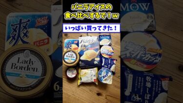 【2ch面白キッチン】【2ch面白いスレ】9種類のカップバニラアイス、食べ比べしてみた結果www