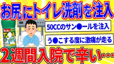 【鉄人28匹ギコ&しぃ】お尻にトイレ洗浄剤を注入したら2週間入院で辛い…【2ch面白いスレゆっくり解説】