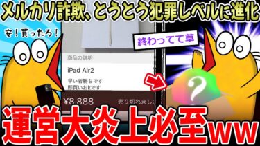 【イッチーズ】【炎上】メルカリ詐欺、巧妙過ぎて犯罪レベルに到達する…【2ch面白いスレ】