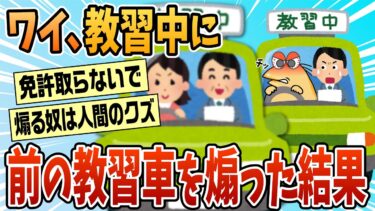 【なんJ民の巣窟】【2ch面白スレ】ワイ、教習車を煽り教官に怒られる【ゆっくり解説】