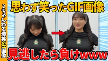 【ゆっくり爆笑図鑑】【おもしろgif】傑作おもしろgif画像で笑ったら寝ろww by 2ch【コメ付き】【ゆっくり解説】【2chスレ】【5ch】#212