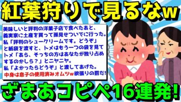 【ゆっくり君の2ch】【2ch面白いスレ】ざまあコピペでスカッと笑え！気分がよくなるコピペ16連発！【ゆっくり解説】