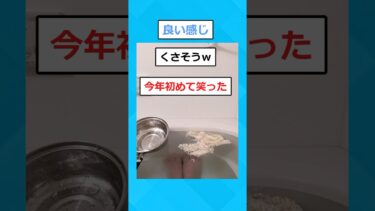 【2chホウソウキョク】【2ch面白いスレ】お風呂入ってるけどラーメン食べるぞー