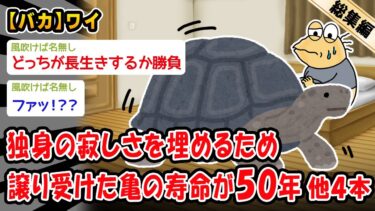 【2ch人情屋台】【バカ】独身の寂しさを埋めるため譲り受けた亀の寿命が50年。他4本を加えた総集編【2ch面白いスレ】