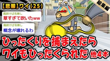 【2ch人情屋台】【悲報】ひったくりを捕まえたら俺もひったくられた。他4本を加えた総集編【2ch面白いスレ】