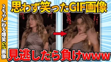 【ゆっくり爆笑図鑑】【おもしろgif総集編】何度見ても笑える爆笑gif画像集ww 【コメ付き】【ゆっくり解説】【2chスレ】【5ch】