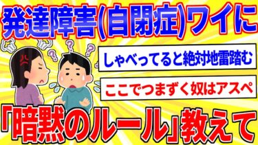 【鉄人28匹ギコ&しぃ】発達障害(自閉症スペクトラム)ワイに「暗黙のルール」教えて【2ch面白いスレゆっくり解説】