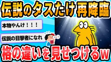 【2chが好きなんだお】【2ch面白いスレ】タスマニアたけし、なんGに降臨