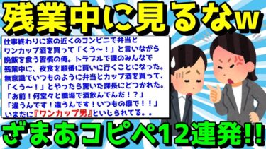 【ゆっくり君の2ch】【2ch面白いスレ】ざまあコピペで楽しく笑え！スカッとするコピペ12連発！【ゆっくり解説】